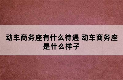 动车商务座有什么待遇 动车商务座是什么样子